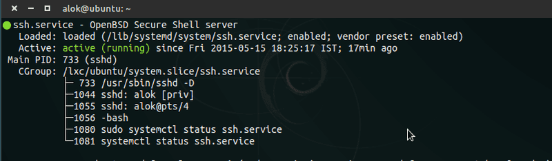 ssh service example
